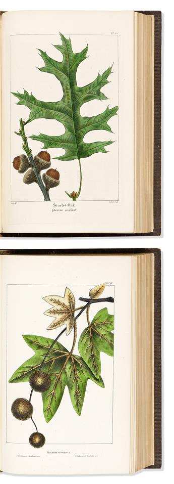 (BOTANICAL.) Francois Andrew Michaux; and Thomas Nutta The North American Sylva;                                                                 
